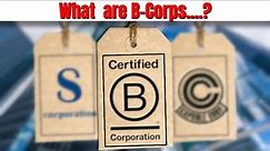 What is a B Corporation (B-Corp)?