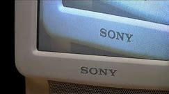 1994 Sony Color Watchman - Luggable Lo-Def TV