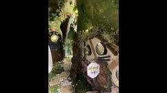 hobbit hole book nook bookshelf insert diorama