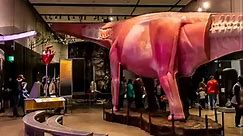 "World's Largest Dinosaurs" — Now Open!