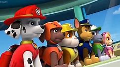 Paw Patrol: Marshall & Chase on the Case Paw Patrol: Marshall & Chase on the Case E002 Windows Title 03_02