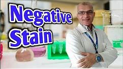 Bacterial Negative Stain Procedure