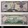 $50 Dollar Bill Front and Back