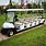 10 Passenger Golf Cart