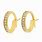 14 Carat Gold Earrings