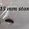 15 mm Kidney Stone