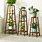 4 Tier Plant Stand