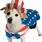 4th of July Dog Outfits