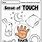 5 Senses Touch Worksheet
