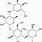 Acarbose Chemical Structure