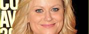 Actress Amy Poehler