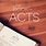 Acts Bible