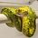 Adult Green Tree Python