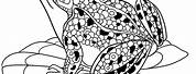 Advanced Adult Coloring Pages Frog