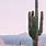Aesthetic Cactus Background