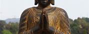 African Buddha Statues