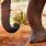 African Elephant Feet