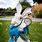 Alice in Wonderland Rabbit Statue