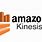 Amazon Kinesis Logo