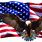 American Flag Eagle Art