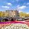 Amsterdam Tulip Season