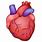 Anatomical Heart Emoji