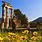 Ancient Greek Countryside