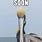 Angry Pelican Meme