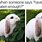Angry Rabbit Meme