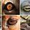 Animal Eye Shapes