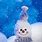 Animated Winter Snowman