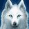Anime White Wolf with Blue Eyes