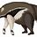 Anteater Art