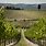 Antinori Winery Tuscany