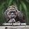 Ape Humor