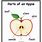 Apple Fruit Diagram