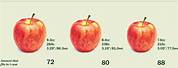Apple Fruit Size Chart