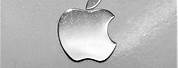 Apple Logo iPhone 13 Silver