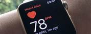 Apple Watch Heart Rate Monitor