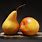 Apple and Pear Still Life