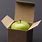 Apple in the Box