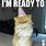 Are You Ready to Party Meme