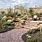 Arizona Desert Backyard Landscape