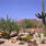 Arizona Desert Landscaping