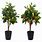 Artificial Fruit Trees