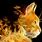 Awesome Cat Wallpaper