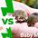 Baby Rat vs Baby Mouse
