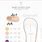 Baby Shoe Size Chart Printable