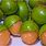 Barbados Ackee Fruit