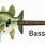 Bass Fish Guitar